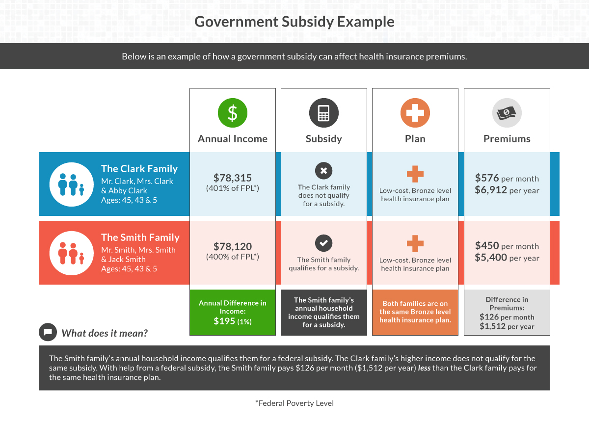 Government Subsidy Example